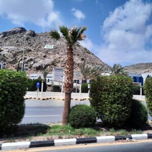 taif-saudi-arabia